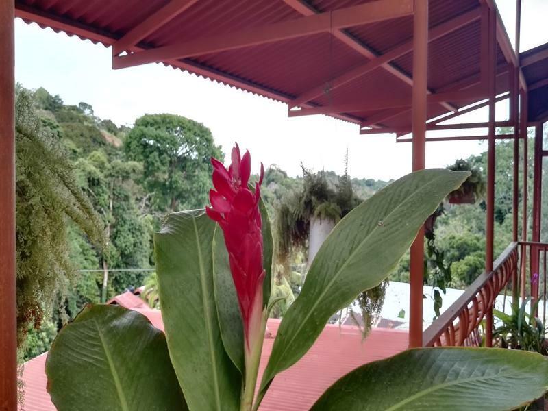 Natural Pacific Suites Manuel Antonio Exterior photo